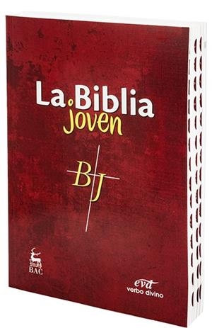 La Biblia joven | 9788490732670 | Desconocido | Librería Castillón - Comprar libros online Aragón, Barbastro