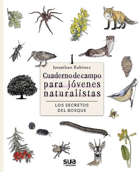 Los secretos del Bosque | 9788482168883 | Rubines Garcia, Jonathan | Librería Castillón - Comprar libros online Aragón, Barbastro