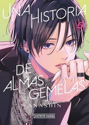 Una historia de almas gemelas 5 | 9788419819628 | Anashin | Librería Castillón - Comprar libros online Aragón, Barbastro