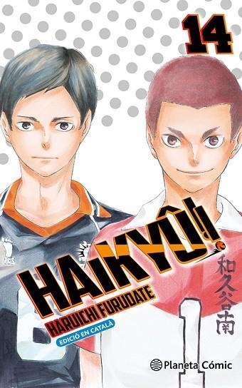 Haikyû!! n. 14/45 (català) | 9788411618090 | Furudate, Haruichi | Librería Castillón - Comprar libros online Aragón, Barbastro