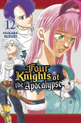 FOUR KNIGHTS OF THE APOCALYPSE 12 | 9788467973501 | SUZUKI, NAKABA | Librería Castillón - Comprar libros online Aragón, Barbastro