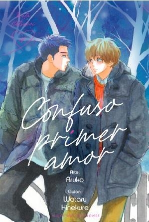 CONFUSO PRIMER AMOR 04 | 9788419195739 | HINEKURE, WATARU / ARUKO | Librería Castillón - Comprar libros online Aragón, Barbastro