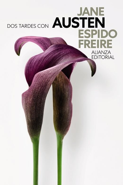 Dos tardes con Jane Austen | 9788411489126 | Freire, Espido | Librería Castillón - Comprar libros online Aragón, Barbastro