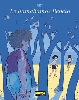 LO LLAMABAMOS BEBETO | 9788467974409 | JAVI REY | Librería Castillón - Comprar libros online Aragón, Barbastro