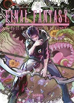 FINAL FANTASY LOST STRANGER 11 | 9788467971859 | MINASE, HAZUKI ; KAMEYA, ITSUKI | Librería Castillón - Comprar libros online Aragón, Barbastro