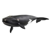 FIGURA SCHELEICH NORDATLANTISCHER GLATIWAL | 4059433762241 | Librería Castillón - Comprar libros online Aragón, Barbastro