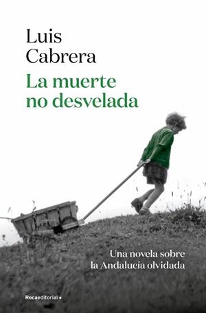 La muerte no desvelada | 9788410274402 | Cabrera, Luis | Librería Castillón - Comprar libros online Aragón, Barbastro