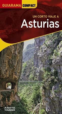Asturias | 9788491587309 | Martínez Reverte, Javier/Gómez, Iñaki/Alonso González, Juan Carlos/Plans, Juan José | Librería Castillón - Comprar libros online Aragón, Barbastro