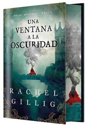 Una ventana a la oscuridad (EDICIÓN ESPECIAL LIMITADA) | 9788410163850 | Gillig, Rachel | Librería Castillón - Comprar libros online Aragón, Barbastro