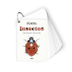 Fíjate: insectos | 9788410407183 | Sanjuan Llorens, Anna/Nogués, Alex | Librería Castillón - Comprar libros online Aragón, Barbastro