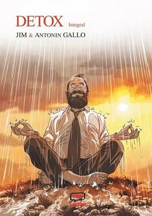 Detox | 9788412987355 | Gallo, Antonín;Jim | Librería Castillón - Comprar libros online Aragón, Barbastro