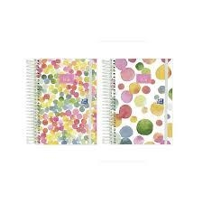 AGENDA ESCOLAR 2025/26 OXFORD JOY TE 1 DÍA PÁGINA 12x18 | 8427291068984 | Librería Castillón - Comprar libros online Aragón, Barbastro