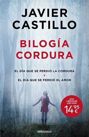 Amor y Cordura (El día que se perdió la cordura | El día que se perdió el amor) | 9788466382533 | Castillo, Javier | Librería Castillón - Comprar libros online Aragón, Barbastro