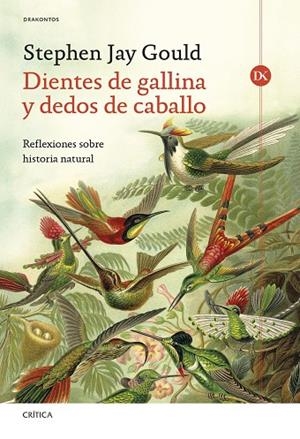 Dientes de gallina y dedos de caballo | 9788491997849 | Gould, Stephen Jay | Librería Castillón - Comprar libros online Aragón, Barbastro