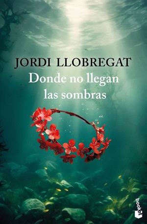 Donde no llegan las sombras | 9788423367986 | Llobregat, Jordi | Librería Castillón - Comprar libros online Aragón, Barbastro