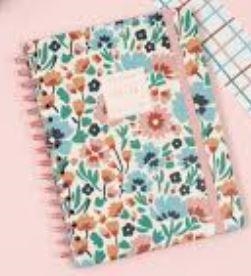 AGENDA FINOCAM ESPIRAL 2025/26 MONIQUILLA DALIA  E10 1 DÍA PÁGINA | 8422952398431 | Librería Castillón - Comprar libros online Aragón, Barbastro