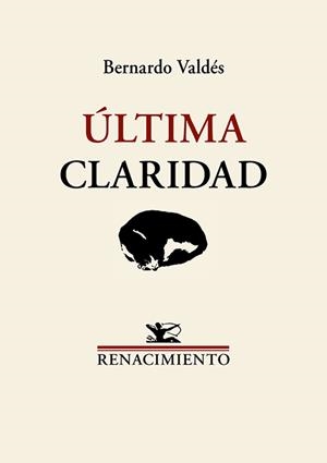 Última claridad | 9791387552787 | Valdés, Bernardo | Librería Castillón - Comprar libros online Aragón, Barbastro
