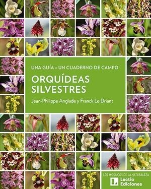 Orquídeas silvestres | 9788418735813 | Anglade, Jean-Philippe/Le Driant, Franck | Librería Castillón - Comprar libros online Aragón, Barbastro