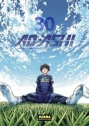 AO ASHI 30 | 9788467973051 | KOBAYASHI, YUGO | Librería Castillón - Comprar libros online Aragón, Barbastro