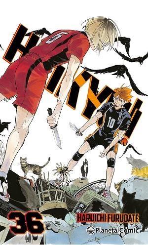 Haikyû!! nº 36/45 | 9788411619370 | Furudate, Haruichi | Librería Castillón - Comprar libros online Aragón, Barbastro