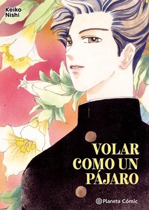 Volar como un pájaro | 9788411619493 | Nishi, Keiko | Librería Castillón - Comprar libros online Aragón, Barbastro
