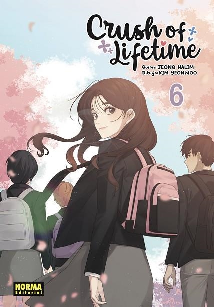 CRUSH OF LIFETIME 06 | 9788467972825 | JEONG, HALIM/KIM, YEONWOO | Librería Castillón - Comprar libros online Aragón, Barbastro
