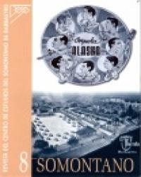 SOMONTANO 8 | 9999900015867 | VV.AA. | Librería Castillón - Comprar libros online Aragón, Barbastro