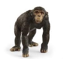 CHIMPANCÉ. SCHLEICH | 4059433762326 | Librería Castillón - Comprar libros online Aragón, Barbastro