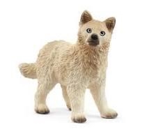 CACHORRO DE LOBO ÁRTICO. SCHLEICH | 4059433762289 | Librería Castillón - Comprar libros online Aragón, Barbastro