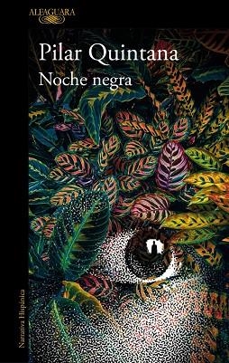Noche negra | 9788420477305 | Quintana, Pilar | Librería Castillón - Comprar libros online Aragón, Barbastro