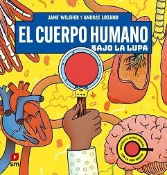 El cuerpo humano bajo la lupa | 9788411829021 | Wilsher, Jane | Librería Castillón - Comprar libros online Aragón, Barbastro