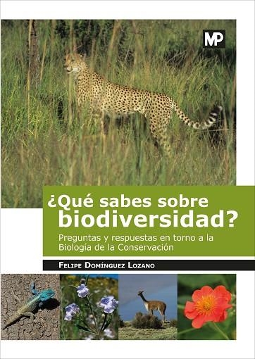 ¿Qué sabes sobre biodiversidad? | 9788484767541 | DOMÍNGUEZ LOZANO, FELIPE | Librería Castillón - Comprar libros online Aragón, Barbastro