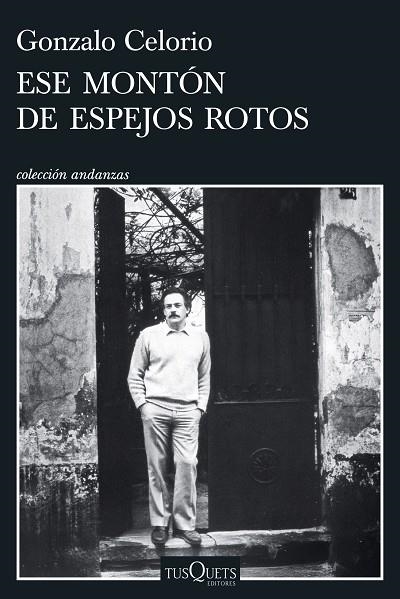 Ese montón de espejos rotos | 9788411076784 | Celorio, Gonzalo | Librería Castillón - Comprar libros online Aragón, Barbastro