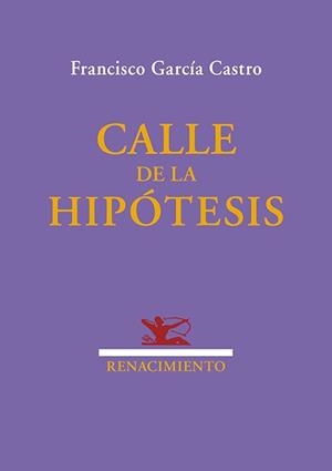 Calle de la hipótesis | 9791387939281 | García Castro, Francisco | Librería Castillón - Comprar libros online Aragón, Barbastro