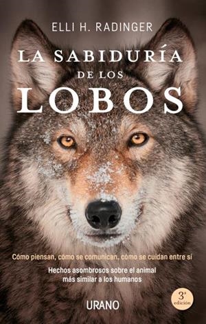 La sabiduría de los lobos | 9788416720262 | Radinger, Elli H. | Librería Castillón - Comprar libros online Aragón, Barbastro