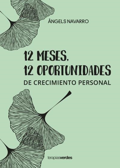 12 meses 12 oportunidades | 9788416972937 | Navarro Simón, Àngels | Librería Castillón - Comprar libros online Aragón, Barbastro