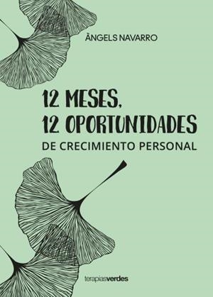 12 meses 12 oportunidades | 9788416972937 | Navarro Simón, Àngels | Librería Castillón - Comprar libros online Aragón, Barbastro
