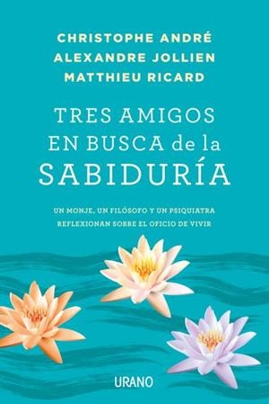 Tres amigos en busca de la sabiduría | 9788479539481 | Jolllien, Alexandre | Librería Castillón - Comprar libros online Aragón, Barbastro