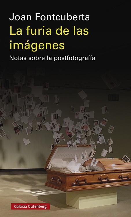 La furia de las imágenes- 2020 | 9788417971793 | Fontcuberta, Joan | Librería Castillón - Comprar libros online Aragón, Barbastro