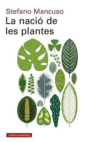 La nació de les plantes | 9788417971564 | Mancuso, Stefano | Librería Castillón - Comprar libros online Aragón, Barbastro