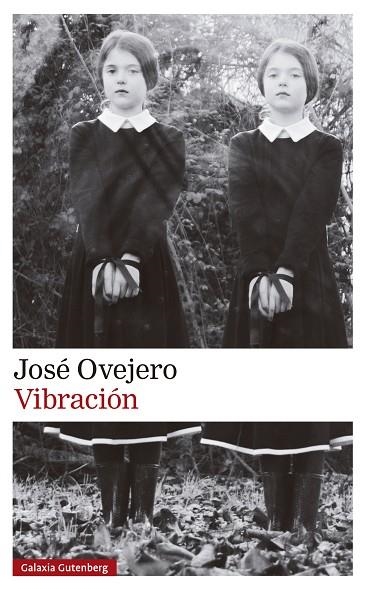 Vibración | 9788419738615 | Ovejero, José | Librería Castillón - Comprar libros online Aragón, Barbastro