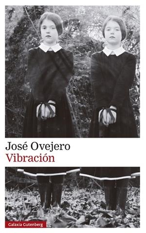 Vibración | 9788419738615 | Ovejero, José | Librería Castillón - Comprar libros online Aragón, Barbastro
