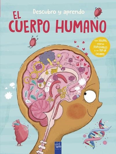 Descubro y aprendo. El cuerpo humano | 9788408302087 | Yoyo | Librería Castillón - Comprar libros online Aragón, Barbastro