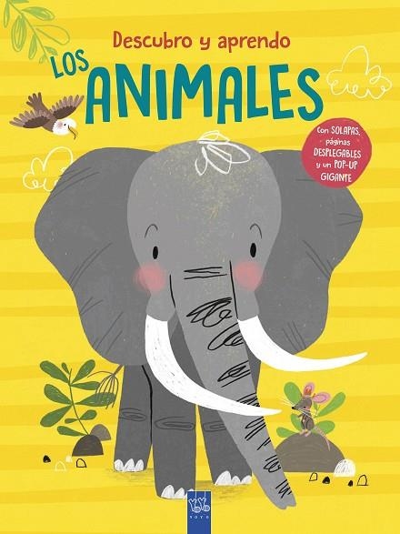 Descubro y aprendo. Los animales | 9788408302070 | Yoyo | Librería Castillón - Comprar libros online Aragón, Barbastro