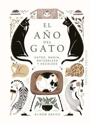 El año del gato | 9788411723091 | Davies, Alison | Librería Castillón - Comprar libros online Aragón, Barbastro