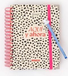 AGENDA WONDER 2026 DIARIA AQUÍ Y AHORA- MR WONDERFUL | 8445641070210 | Librería Castillón - Comprar libros online Aragón, Barbastro