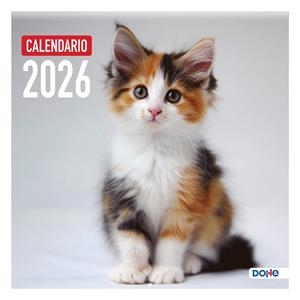 CALENDARIO 2026 PARED GATOS | 8421938131727 | Librería Castillón - Comprar libros online Aragón, Barbastro