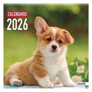 CALENDARIO 2026 PARED PERROS | 8421938131734 | Librería Castillón - Comprar libros online Aragón, Barbastro
