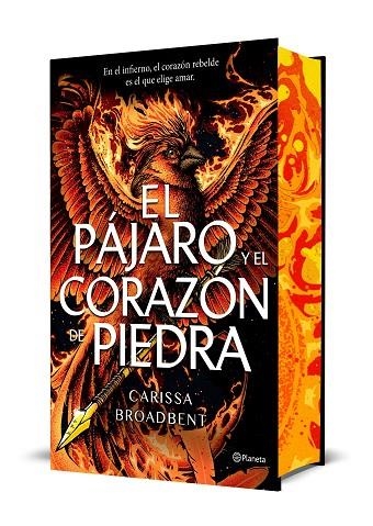 El pájaro y el corazón de piedra (Edición Deluxe) | 9788408314288 | Broadbent, Carissa | Librería Castillón - Comprar libros online Aragón, Barbastro