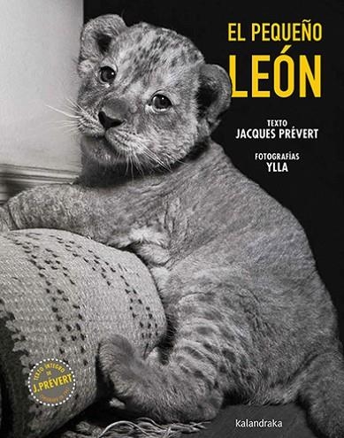 El pequeño león | 9788413433790 | Prévert, Jacques | Librería Castillón - Comprar libros online Aragón, Barbastro